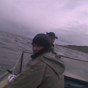 ���������� ������, ���� ������� ���������, 59 ���, ������������ ��� ������, ����� � ���������, c�������� ���������