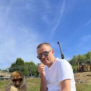  Koeln,   Alexandru, 36 ,   ,   , c , 