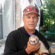  ,   , 62 ,   