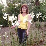 ���������� �����������, ���� ������� ���������, 61 ���, ������������ 