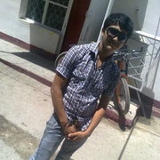  ,   Shaxrux, 31 ,     , c 