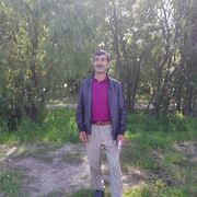  ,   Mursel, 48 ,     , c 