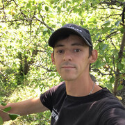 ���������� ������, ���� ������� ����, 37 ���, ������������ ��� ������, ����� � ���������, ���������