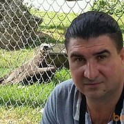  ,   , 51 ,   