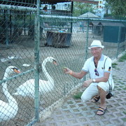  ,   Mihail, 68 ,   ,   , c 