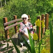 ���������� �����, ���� ������� �������, 62 ����, ������������ ��� c�������� ���������