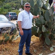  ,   Deniz, 44 ,   ,   , c 