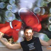 ���������� ������, ���� ������� Rena, 54 ����, ������������ ��� ����� � ���������, c�������� ���������