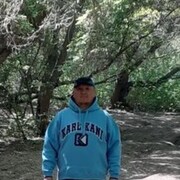 ���������� ���������, ������� ���, 40