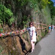 ���������� ������, ���� ������� ������, 32 ����, ������������ ��� ������, ����� � ���������, c�������� ���������, ���������