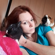 ���������� �����-���������, ���� ������� �����, 32 ����, ������������ ��� ������, ����� � ���������, c�������� ���������