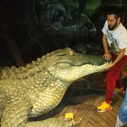 ���������� �����-���������, ���� ������� �����, 34 ����, ������������ ��� ������, ����� � ���������, c�������� ���������