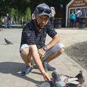  ,   , 37 ,   ,   