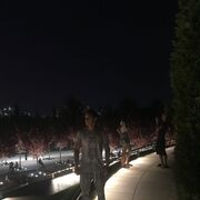 ���������� ���������, ���� ����� ������, 23 ����, ������������ ��� ������, ����� � ���������