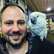 ���������� ������, ���� ������� �����, 37 ���, ������������ ��� ������, ����� � ���������, c�������� ���������, ���������