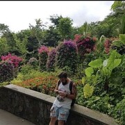 ���������� ������, ���� ������� Andrew, 33 ����, ������������ ��� ������, ����� � ���������