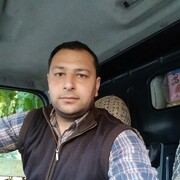 ���������� ����, ���� ������� Roman, 43 ����, ������������ 