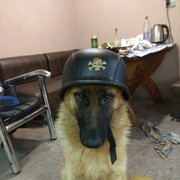 ���������� ������, ���� ������� �������, 48 ���, ������������ ��� ����� � ���������, c�������� ���������, ���������