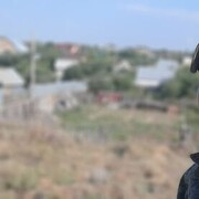 ���������� ��������, ���� ������� ���, 31 ���, ������������ ��� ������, ����� � ���������