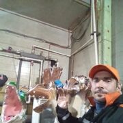 ,   , 52 ,   ,   