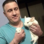  ,   , 41 ,   ,   
