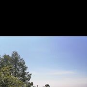 ���������� �������, ���� ������� ���������, 44 ����, ������������ ��� ������, ����� � ���������