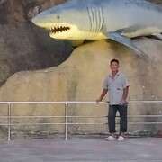  ,   , 61 ,   ,   