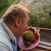  ,   , 38 ,   