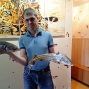 ���������� ���������, ���� ������� ���������, 50 ���, ������������ ��� ������, ����� � ���������