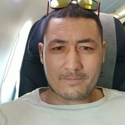 -,   , 41 ,     