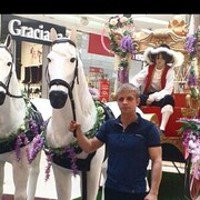 ���������� �����, ���� ������� ������, 27 ���, ������������ ��� ������, ����� � ���������, c�������� ���������