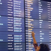 ���������� �����������, ���� ������� Adora, 59 ���, ������������ ��� ����� � ���������, c�������� ���������