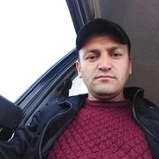  -,   Qamar, 37 ,   ,   