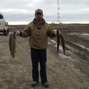 ���������� ������, ���� ������� ����, 54 ����, ������������ ��� ������, ����� � ���������, c�������� ���������