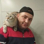  ,   , 38 ,   c 