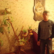  ,   , 66 ,     , c 