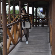  ,   , 43 ,  
