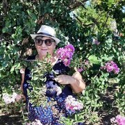  --,   , 62 ,   c , 
