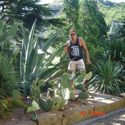 ���������� ��������������, ���� ������� ���������, 49 ���, ������������ ��� ������, ����� � ���������, c�������� ���������