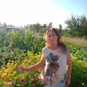 ���������� �������, ���� ������� Lena, 56 ���, ������������ ��� ����� � ���������, c�������� ���������