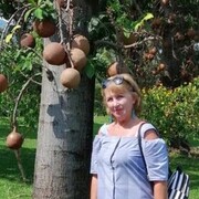 ���������� �����, ���� ������� ������, 63 ����, ������������ ��� ������, c�������� ���������, ���������