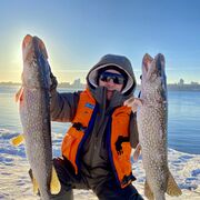 ���������� ��������, ���� ������� ������, 50 ���, ������������ ��� ������, ����� � ���������