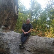 ���������� �������, ���� ������� ������, 44 ����, ������������ ��� c�������� ���������