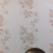 ���������� ����, ���� ������� ����, 28 ���, ������������ ��� ������, ����� � ���������, c�������� ���������