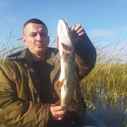 ���������� �����, ���� ������� ��������, 38 ���, ������������ ��� ������, ����� � ���������