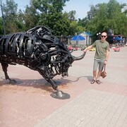 ���������� ���������, ���� ������� ������, 41 ���, ������������ ��� ������, ����� � ���������