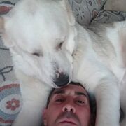 ���������� �����, ���� ������� ��������, 41 ���, ������������ ��� c�������� ���������