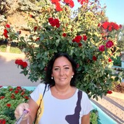  -,   , 45 ,     , c 