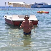 ���������� �����, ���� ������� ���������, 67 ���, ������������ ��� ������, ����� � ���������