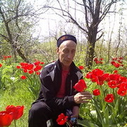  ,  aleksandr, 66